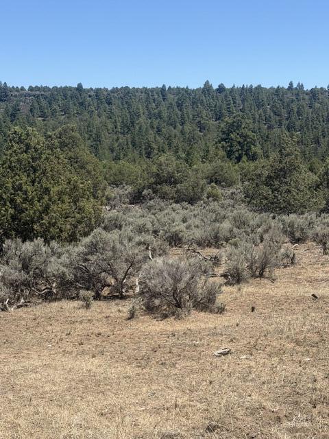 4th image of 49A Huron Pl, Los Ojos, NM 87551 | MLS# 1108436