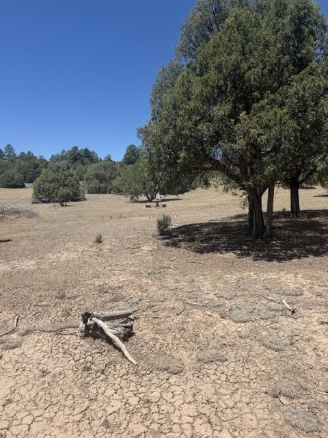 49A Heron P1 49a Private Road 