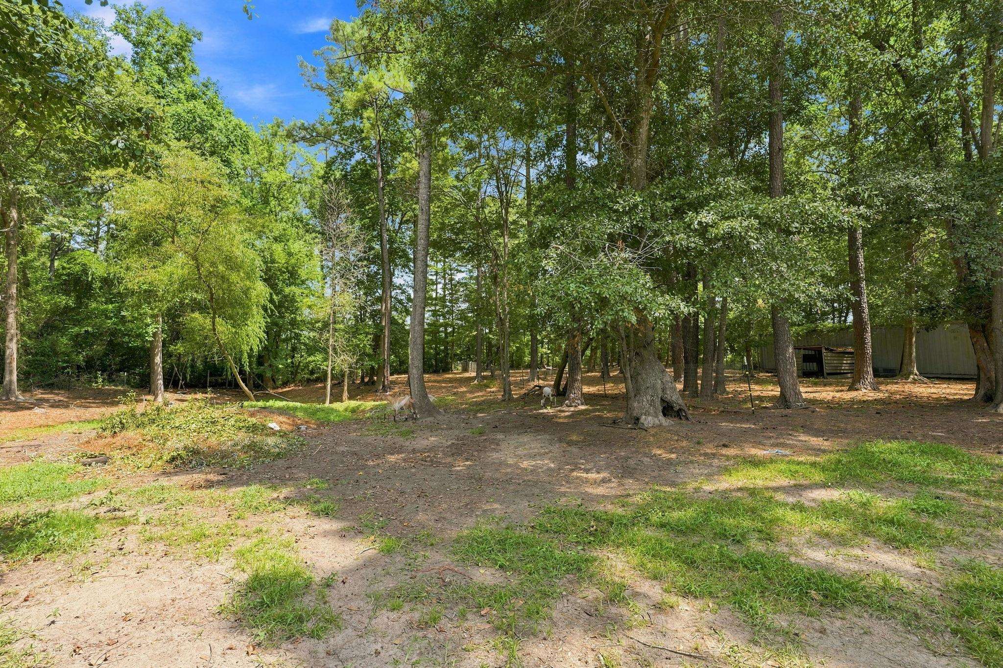 2619203 | Photo 62