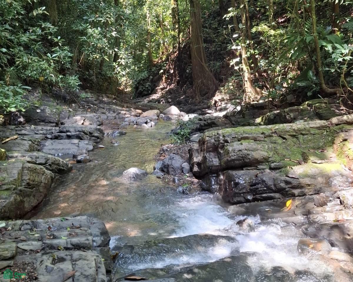 0 bed Land For Sale in Puriscal, San Jose - 1