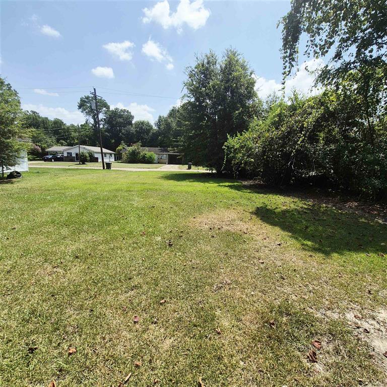 4204 Worthy Drive — photo 2
