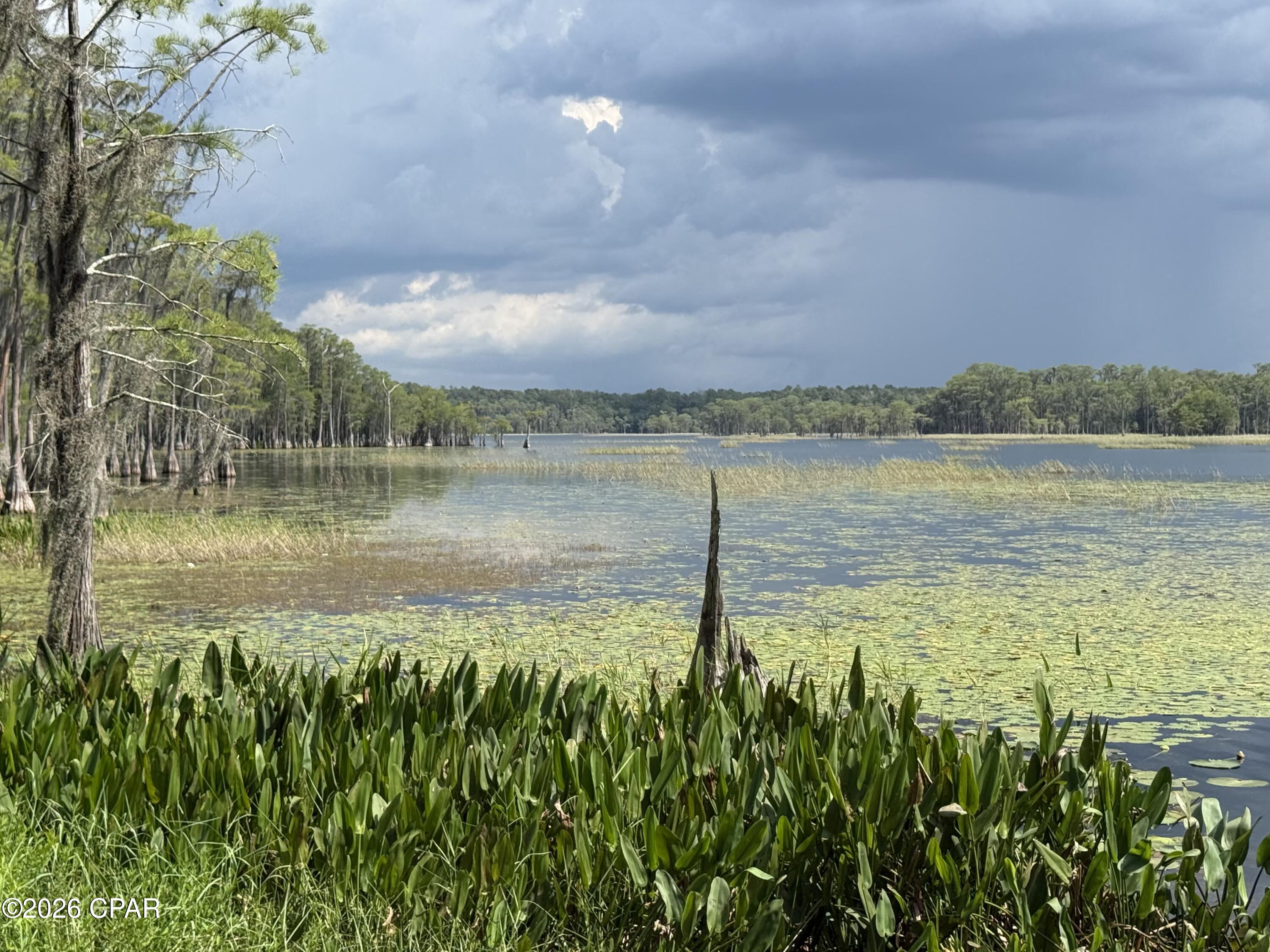 5th image of 00 Cavalier Dr, Chipley, FL 32428 | MLS# 793573