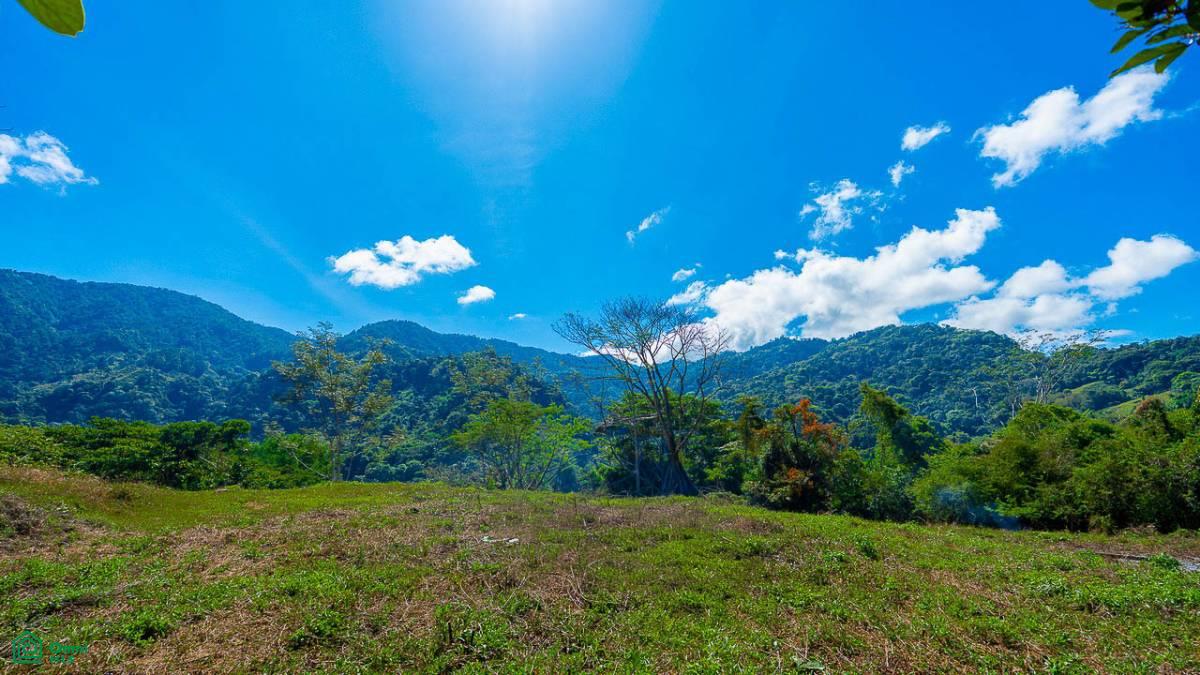 0 bed Land For Sale in Osa, Puntarenas - 1