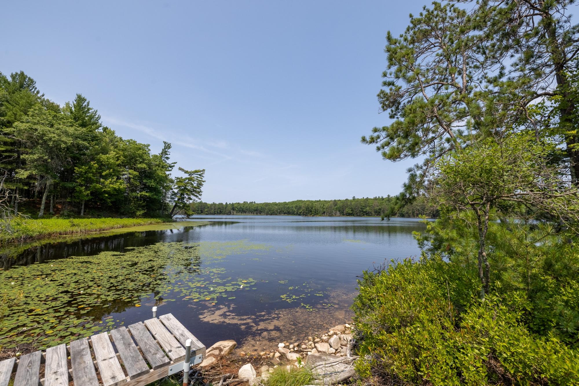 Brown Lake Property 6439 Pine Point Dr Photo 37