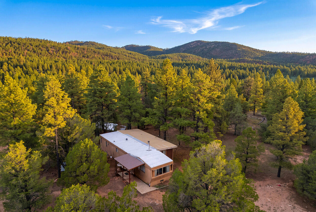 109 El Saguan Loop 