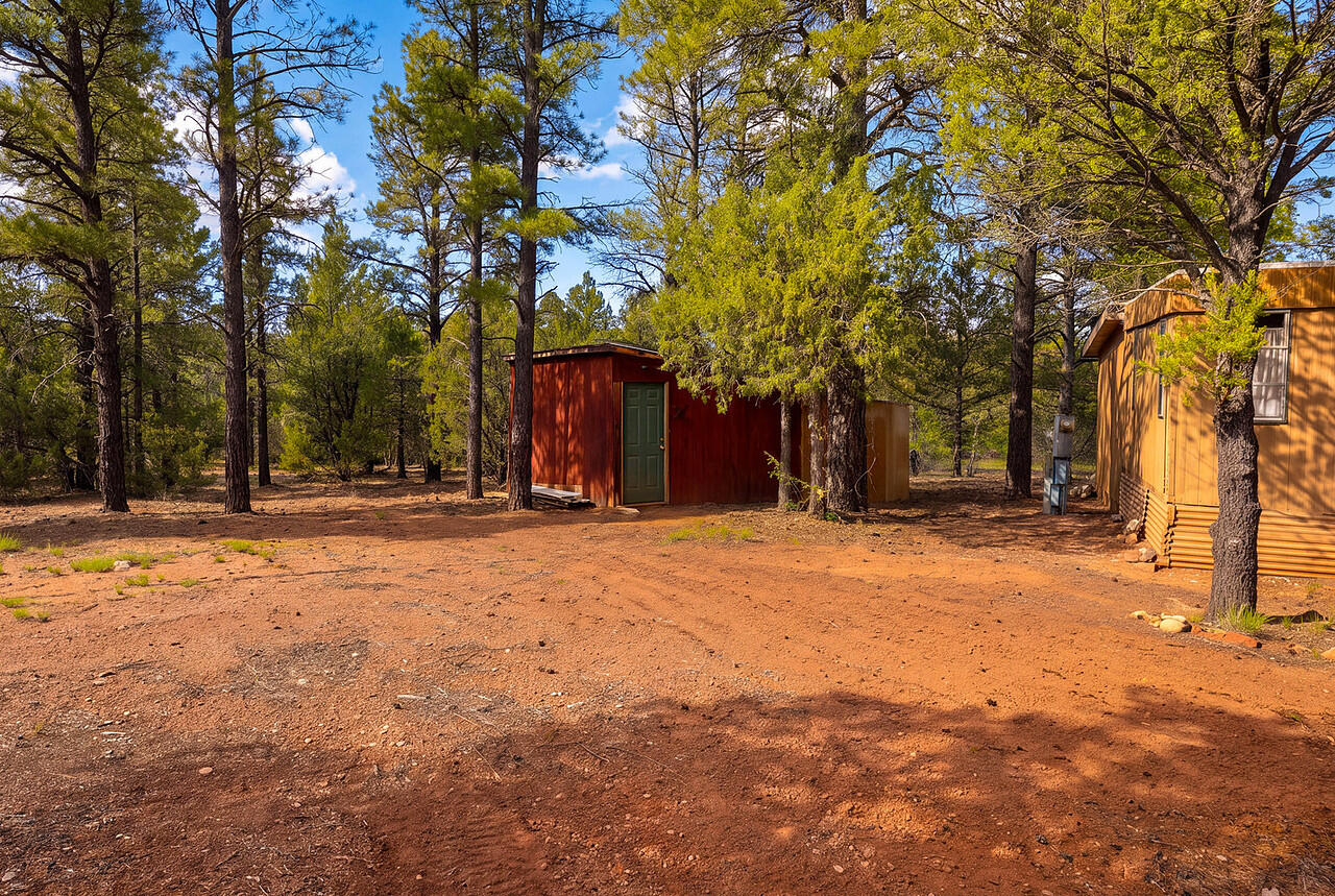 109 El Saguan Loop 