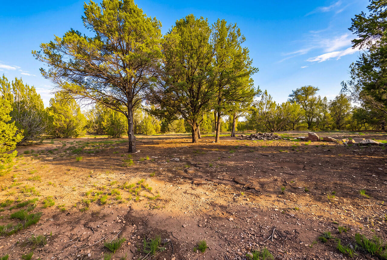 109 El Saguan Loop 