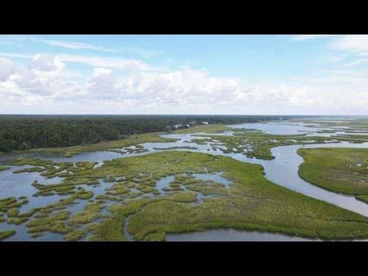 2619399 | Photo 58