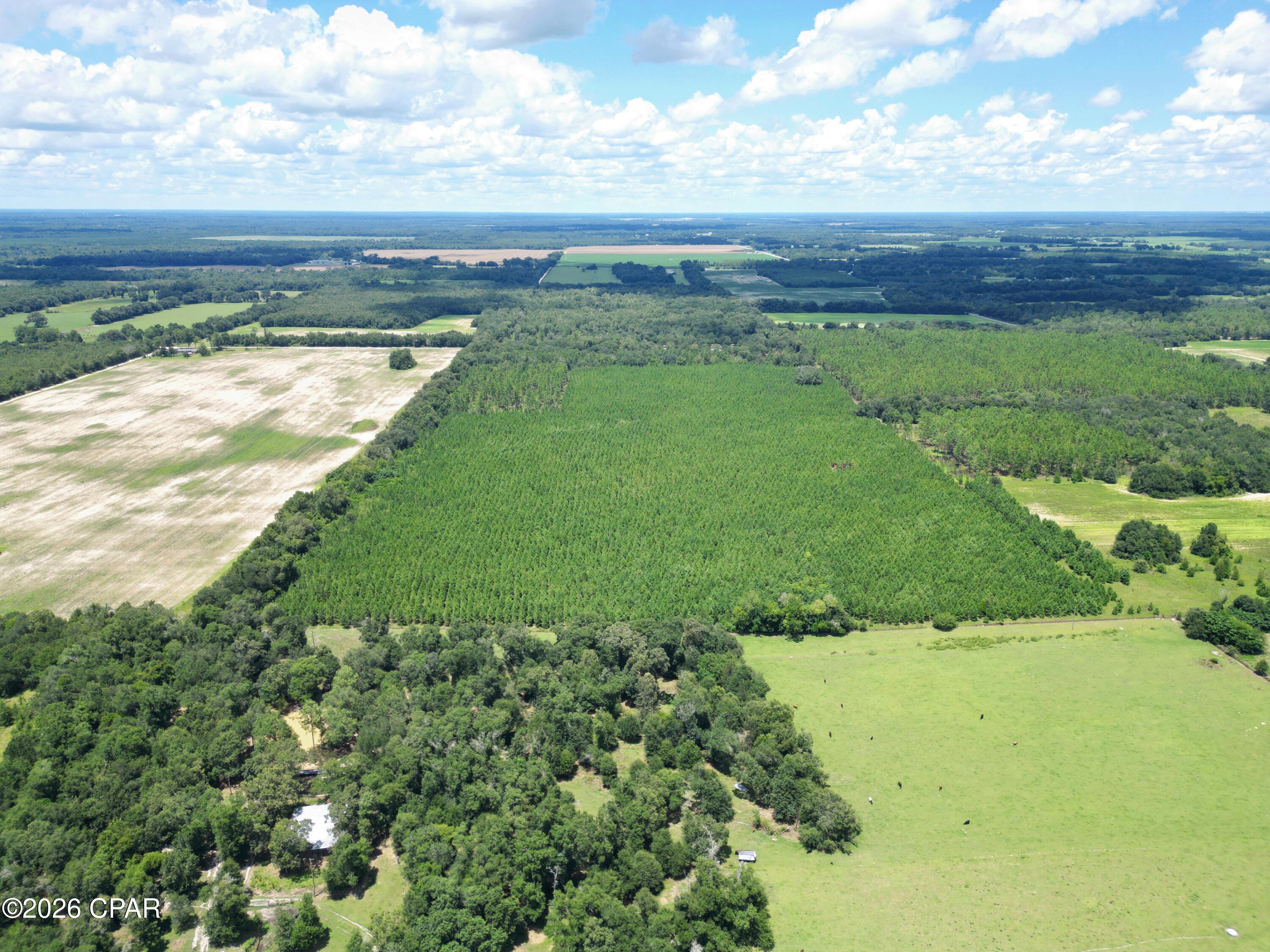 1st image of (Undisclosed), Greenwood, FL 32443 | MLS# 793624