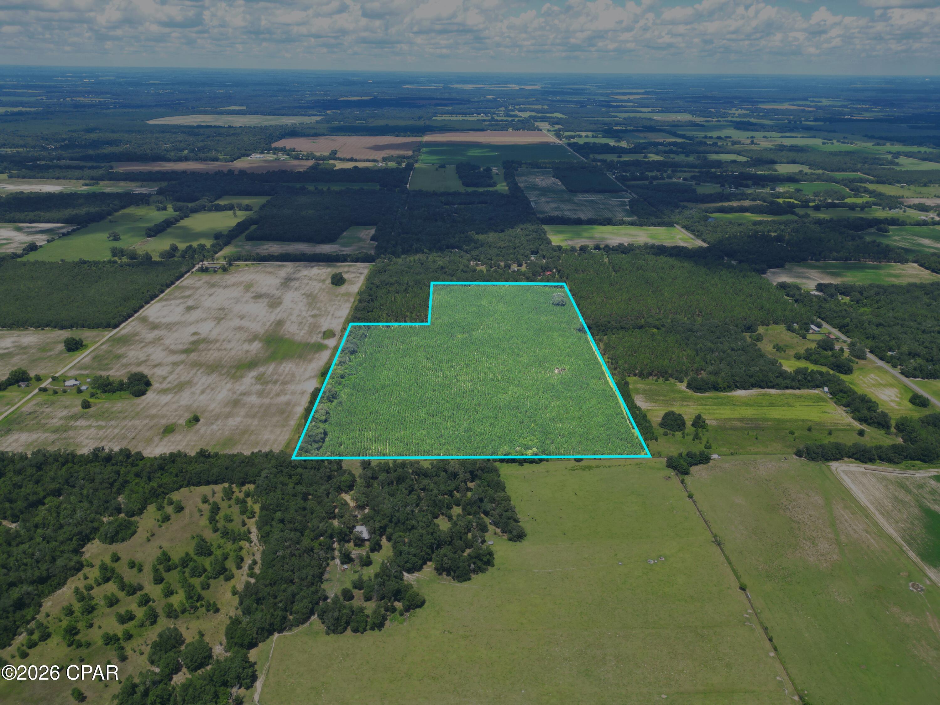 18th image of (Undisclosed), Greenwood, FL 32443 | MLS# 793624