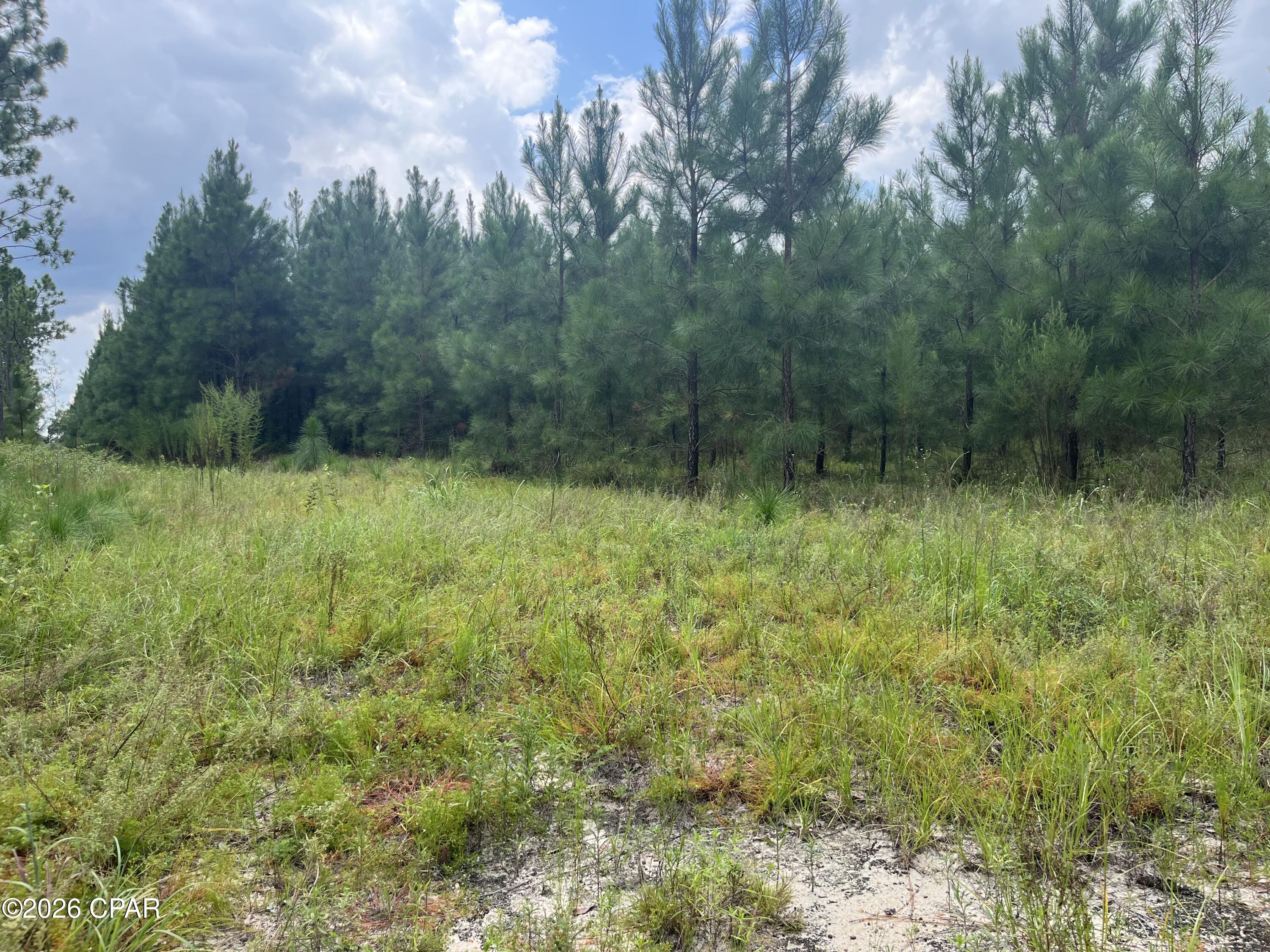 5th image of (Undisclosed), Greenwood, FL 32443 | MLS# 793624