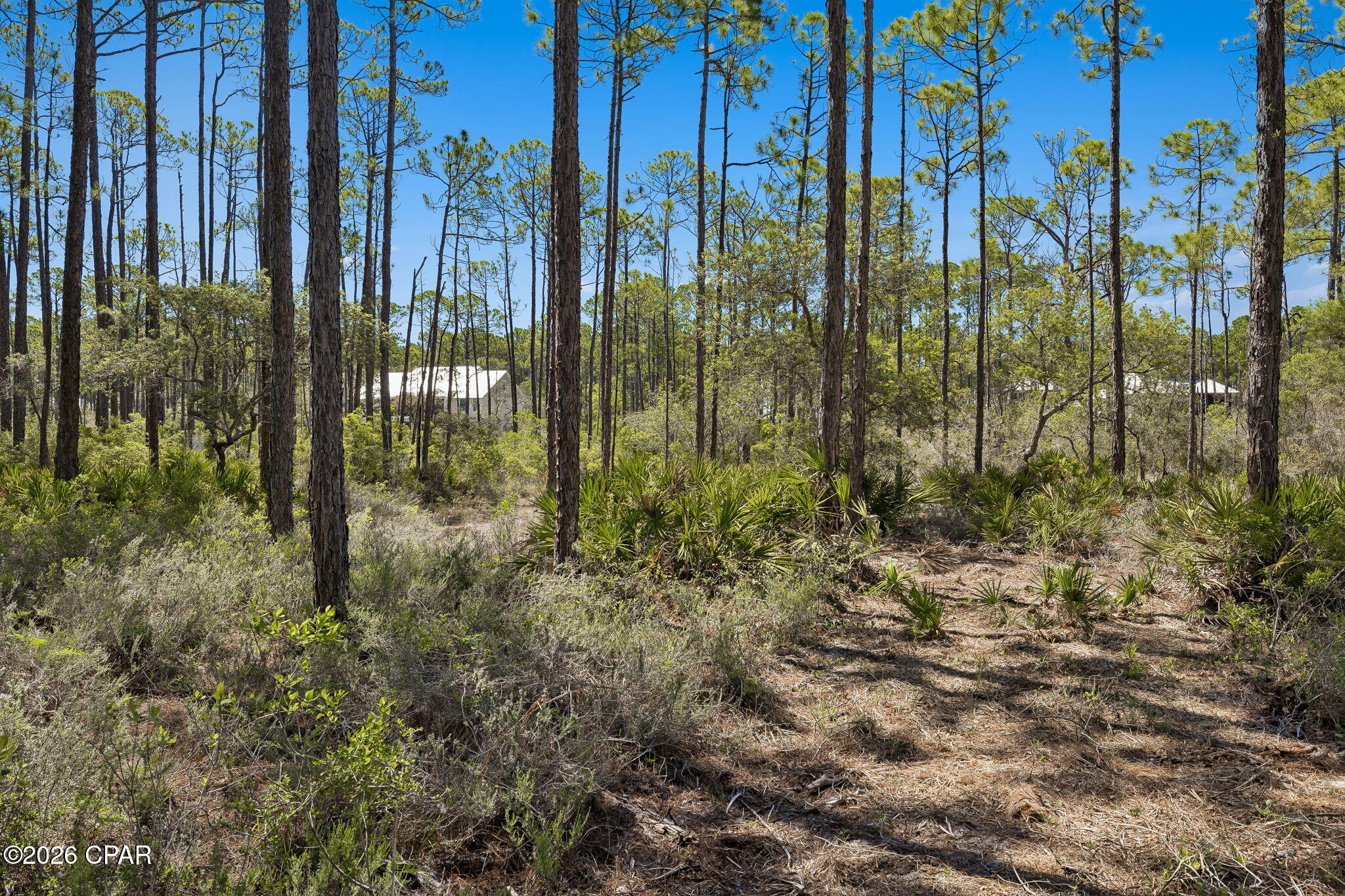 6315 Turkey Cove Lane, Panama City Beach, FL 32413 thumbnail, photo 12 of 17