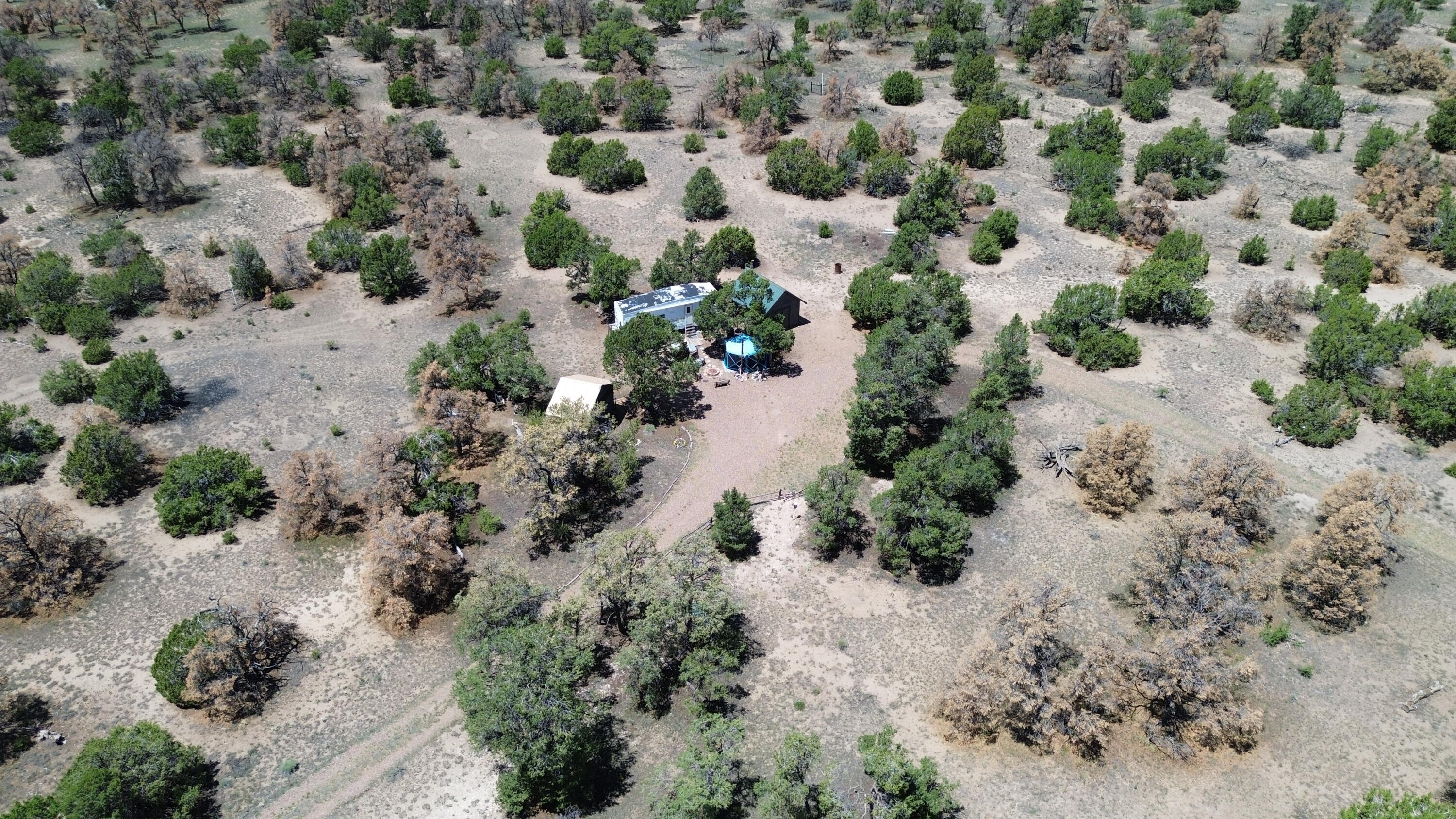 246 Spring Canyon Drive 