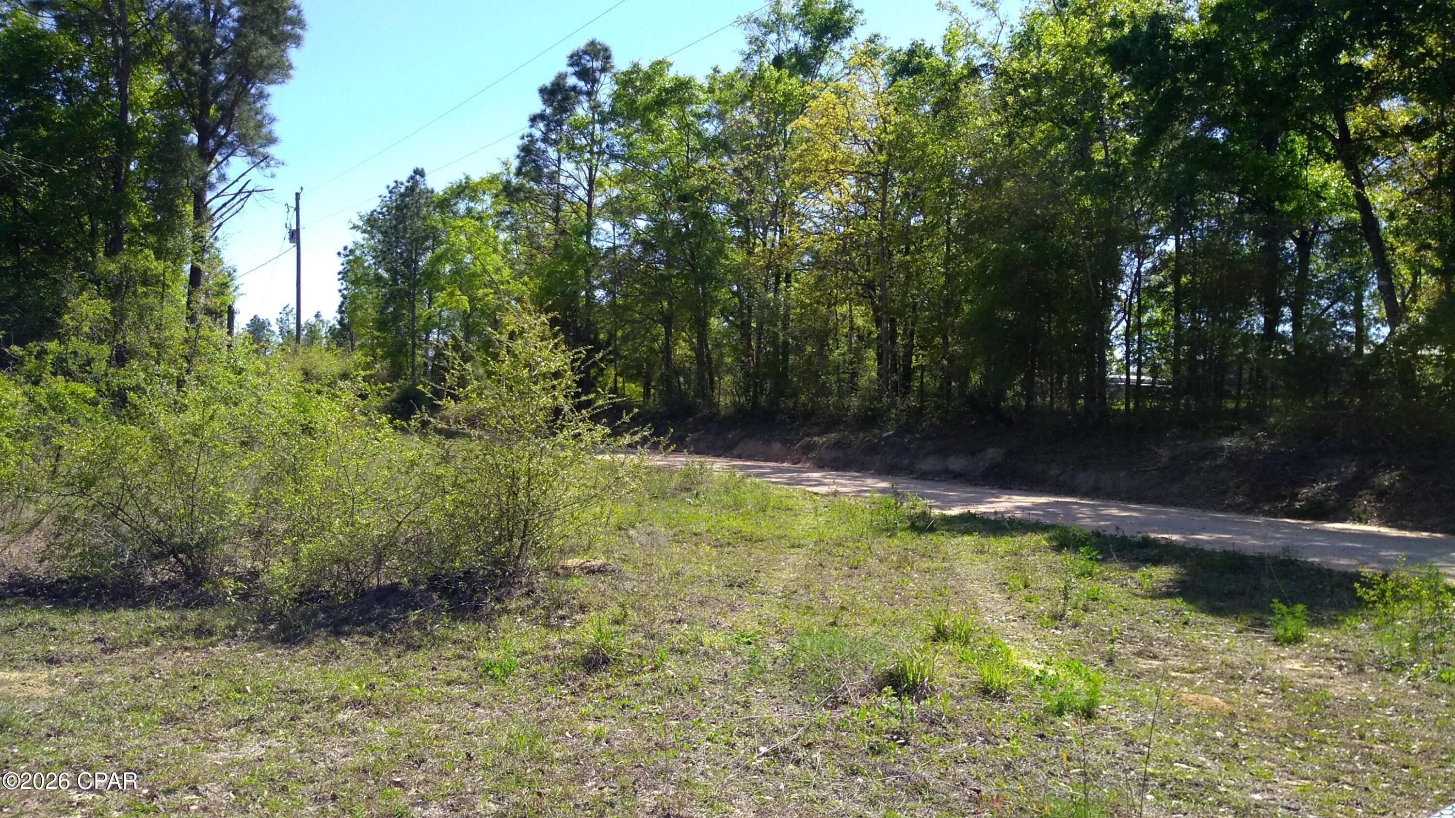 5th image of 0 Alton Ln, Chipley, FL 32428 | MLS# 793686