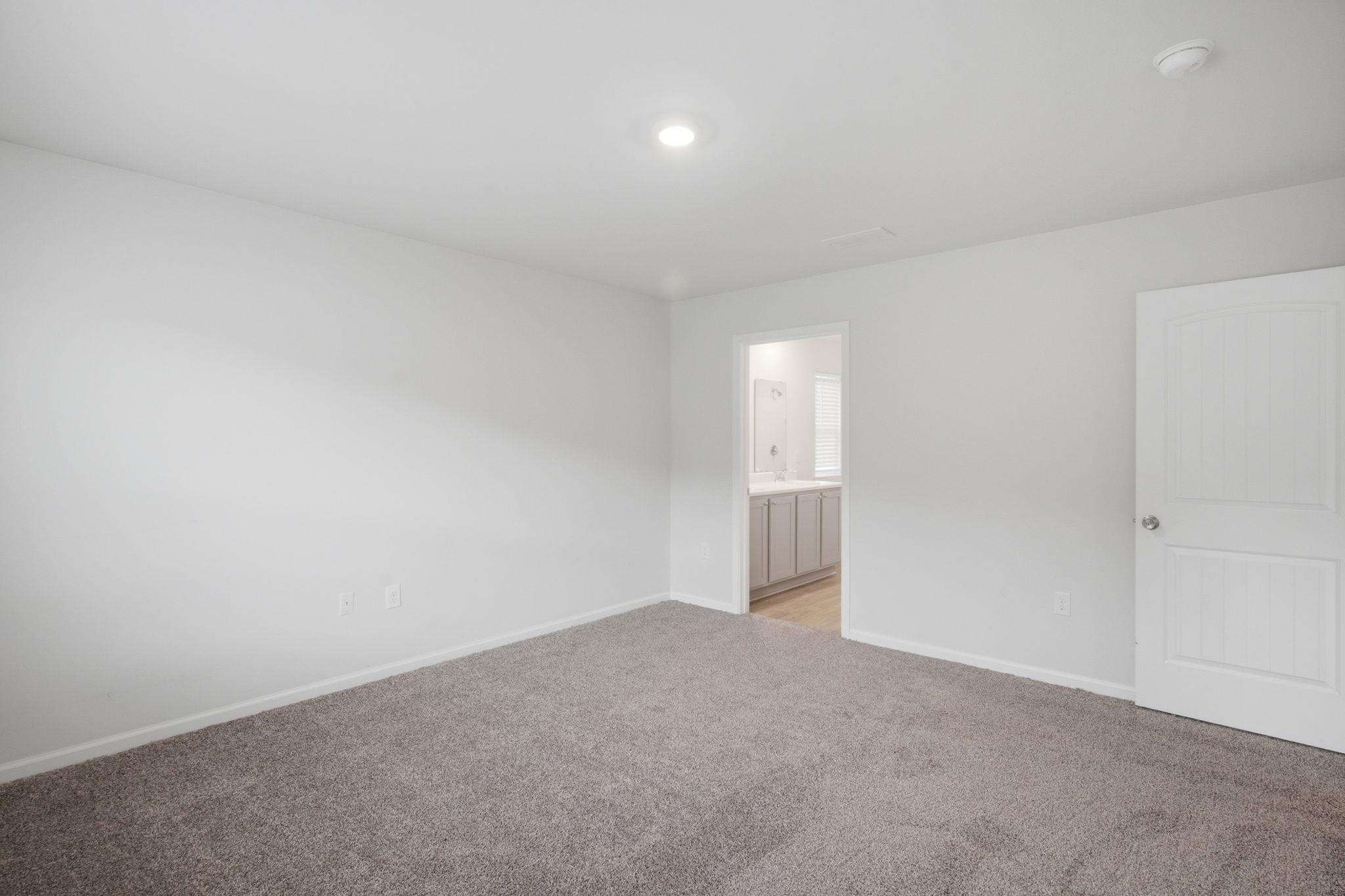2619504 | Photo 27