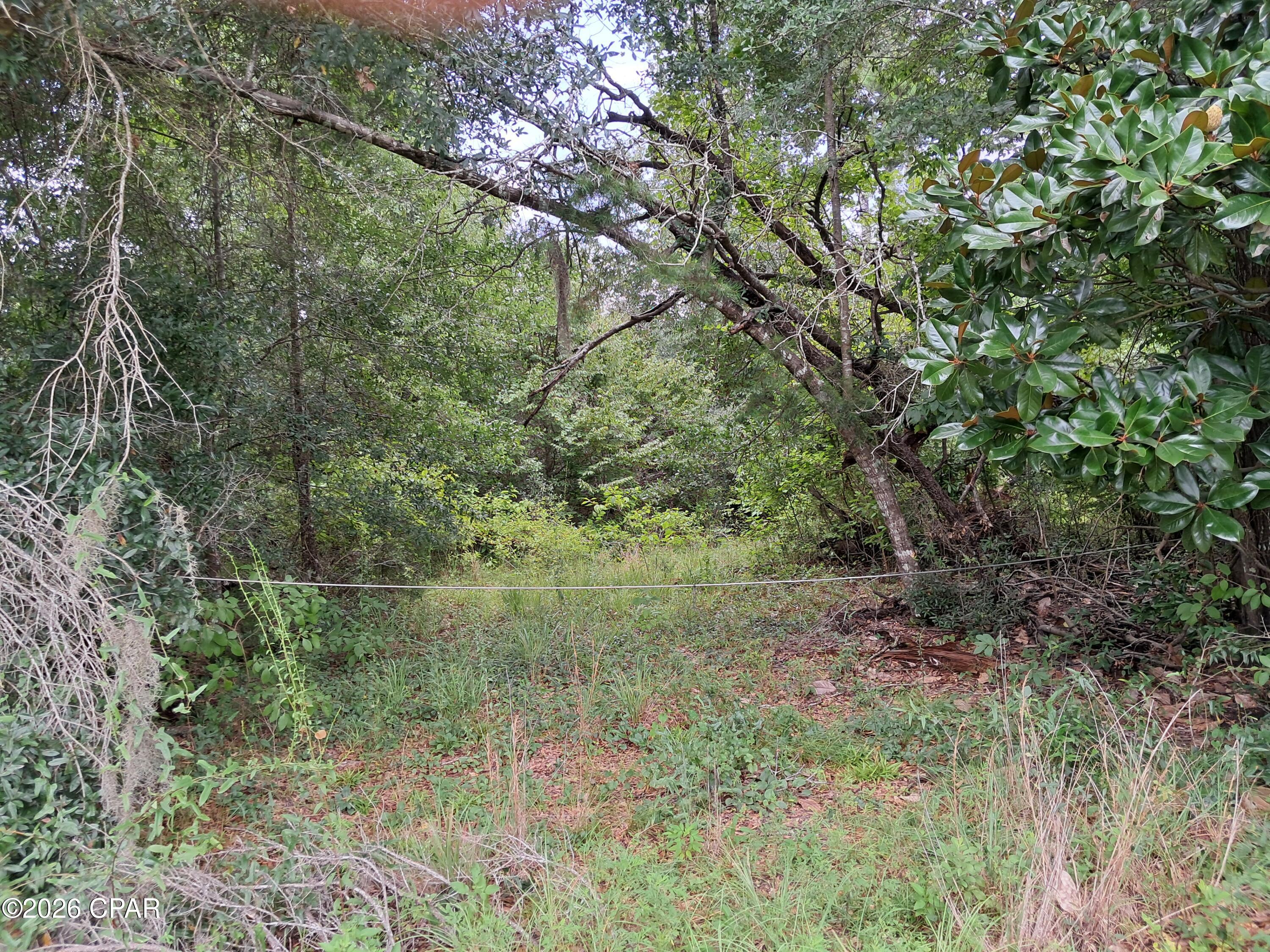 2nd image of 0000 Rooks Dr, Marianna, FL 32446 | MLS# 793696