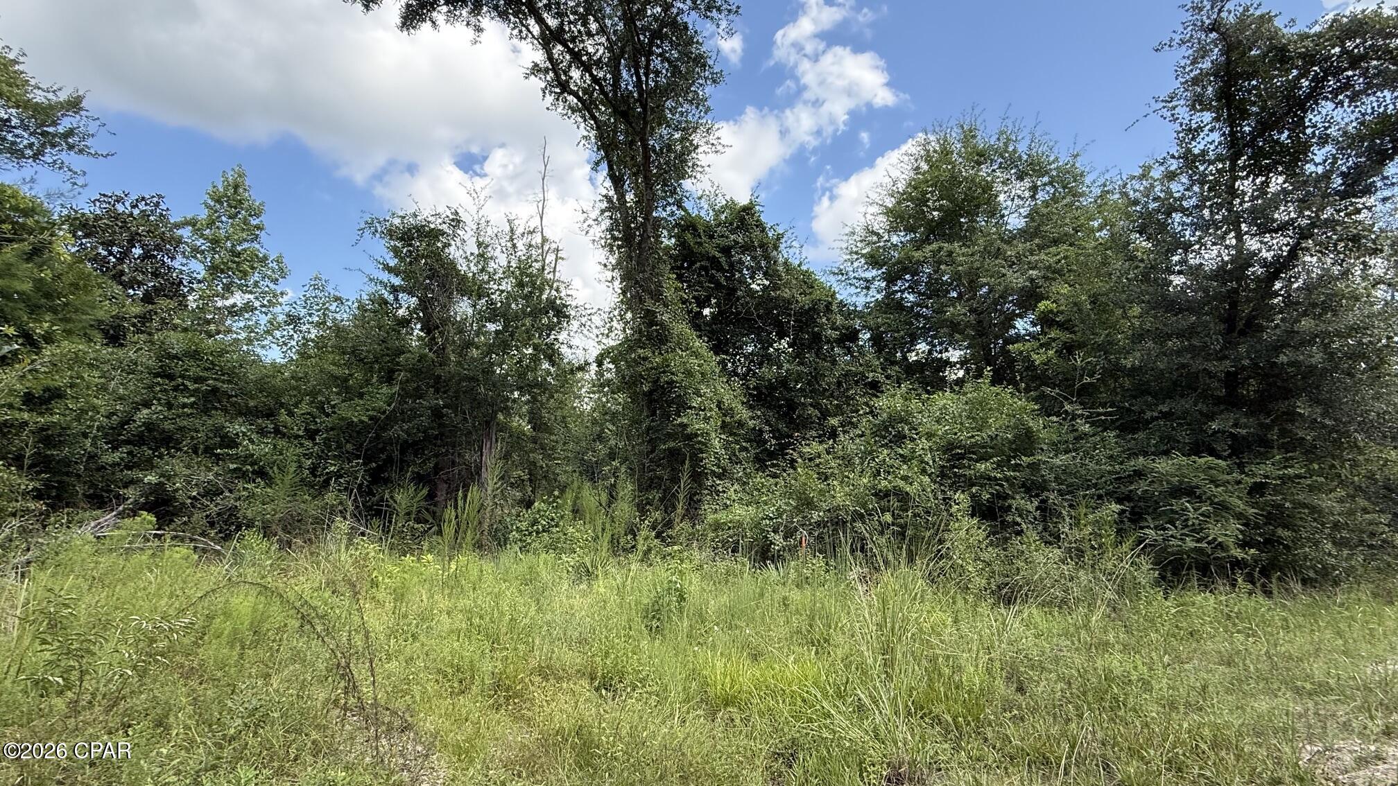 4th image of 0 Chipola Ln, Marianna, FL 32448 | MLS# 793711