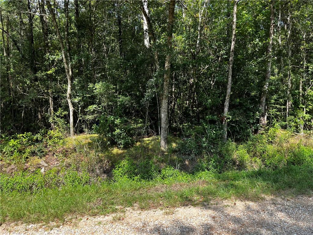 2nd image of 0 Trap St, Abita Springs, LA 70420 | MLS# 2571403