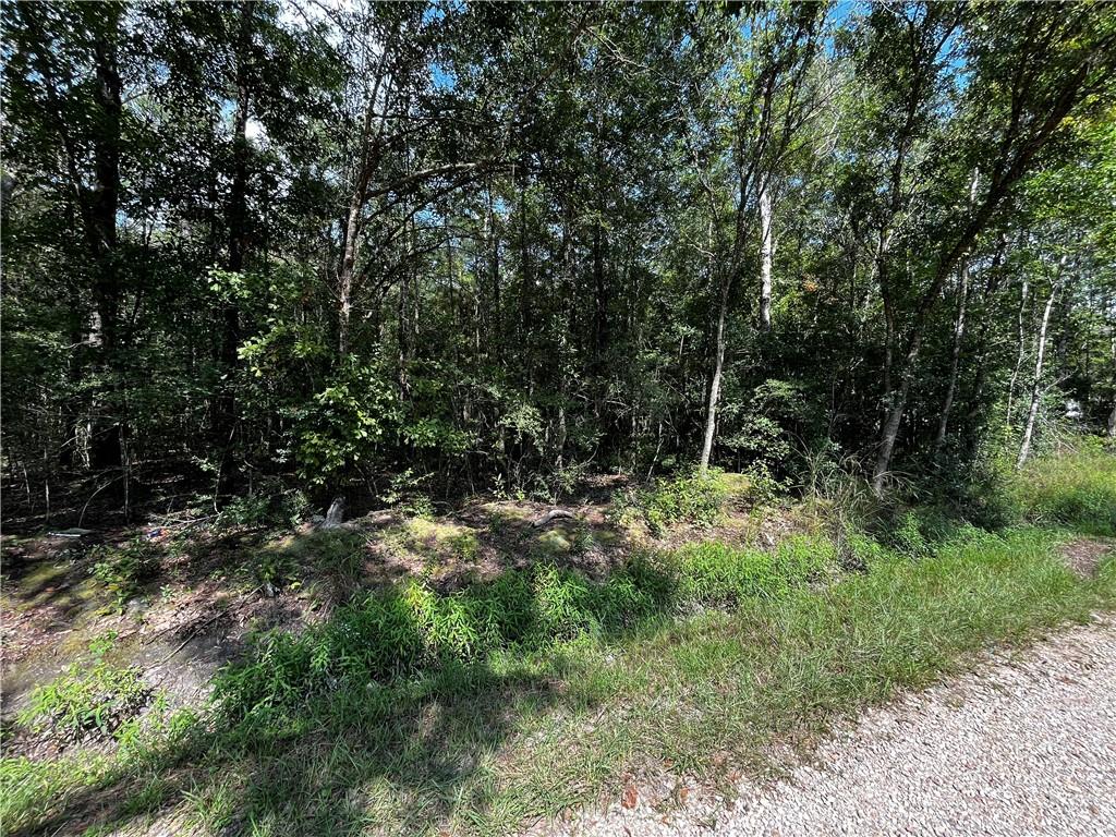 4th image of 0 Trap St, Abita Springs, LA 70420 | MLS# 2571403