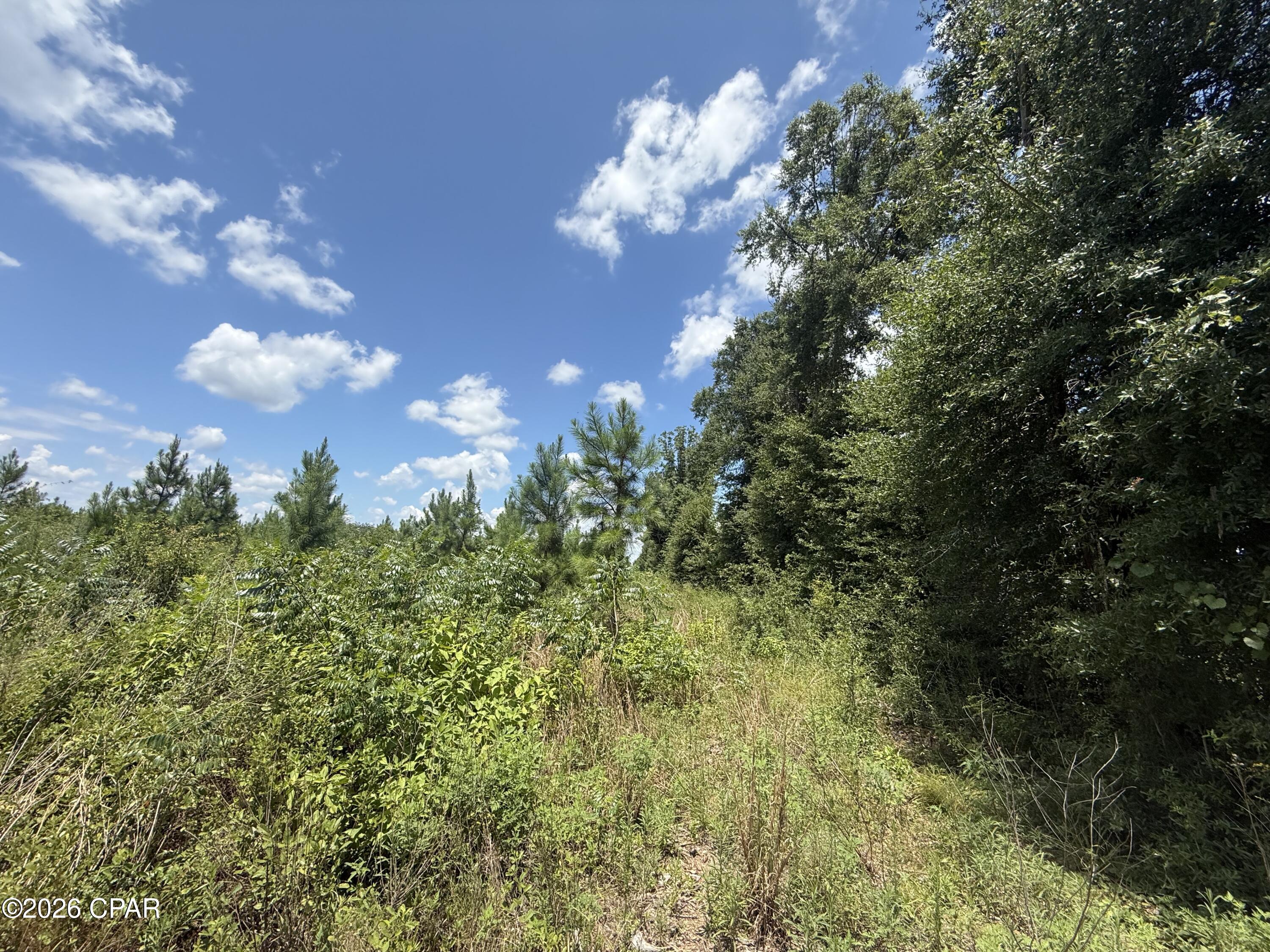 3rd image of 0 Peanut Rd, Cottondale, FL 32431 | MLS# 793722