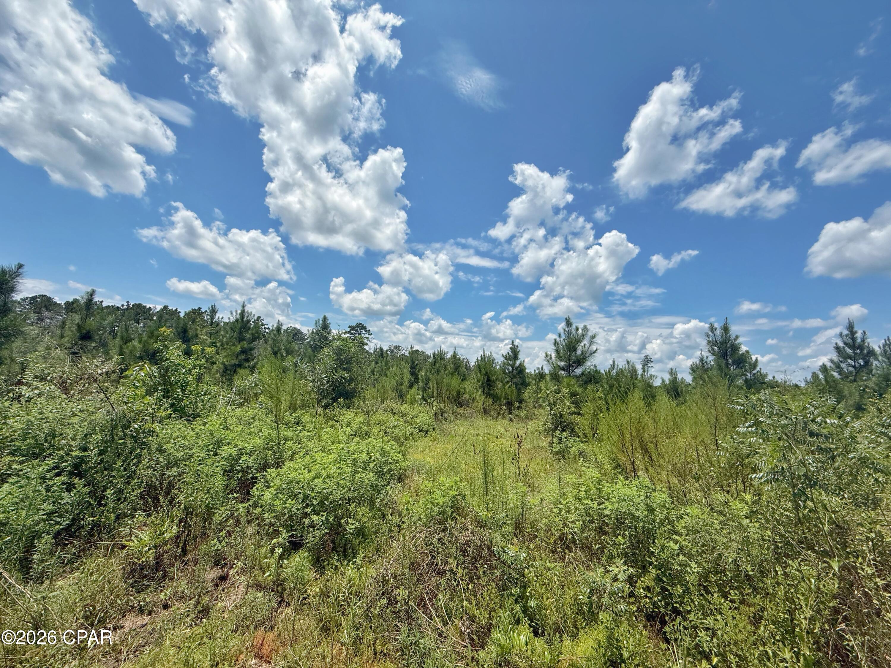 4th image of 0 Peanut Rd, Cottondale, FL 32431 | MLS# 793722