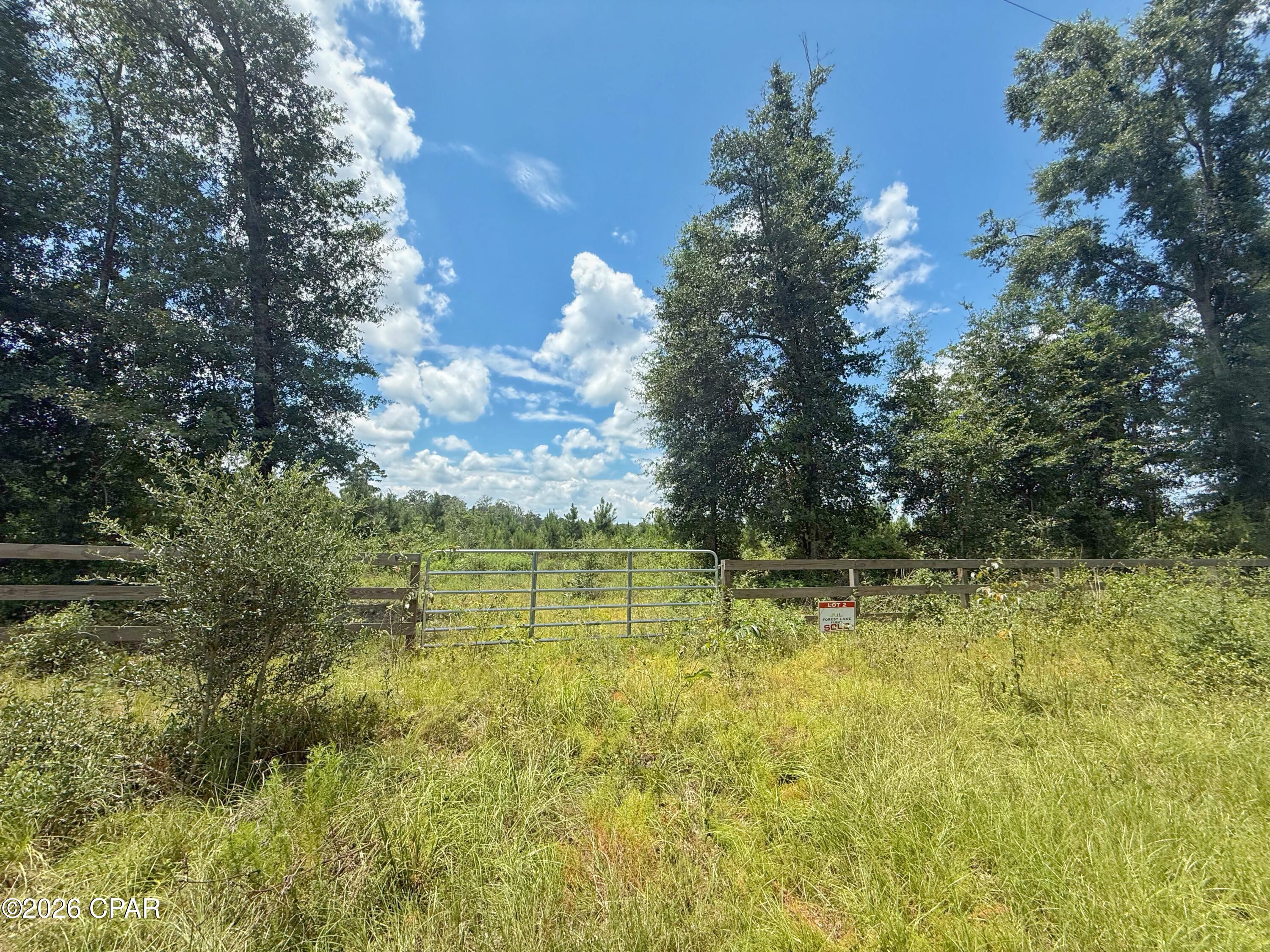8th image of 0 Peanut Rd, Cottondale, FL 32431 | MLS# 793722