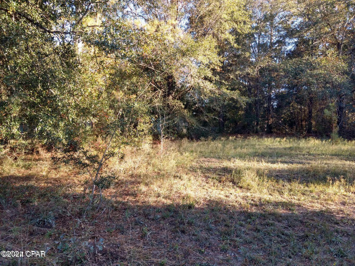 1st image of 00 Marian Dr, Bonifay, FL 32425 | MLS# 793728