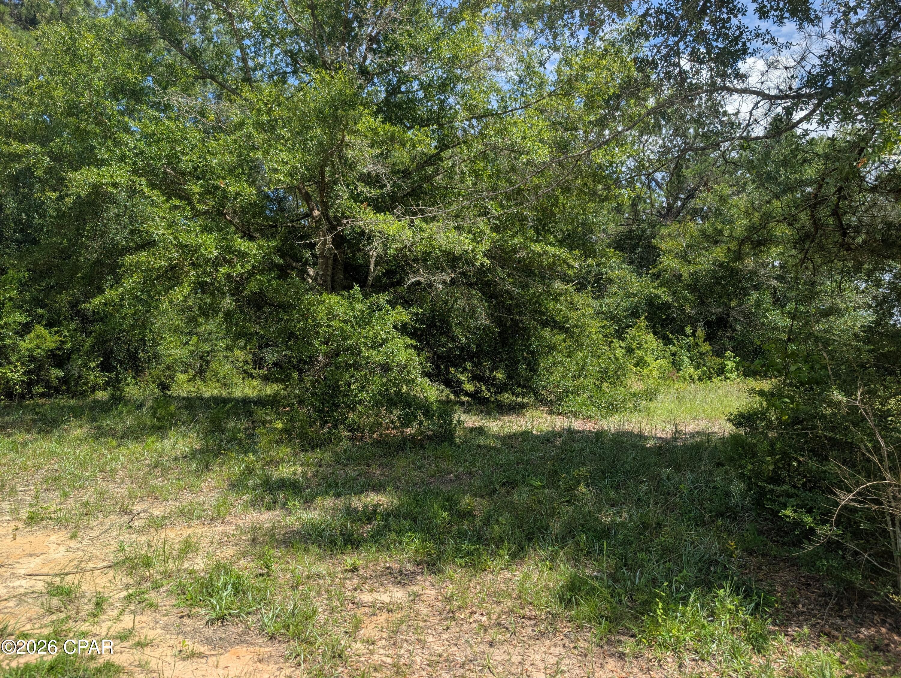 4th image of 00 Marian Dr, Bonifay, FL 32425 | MLS# 793728