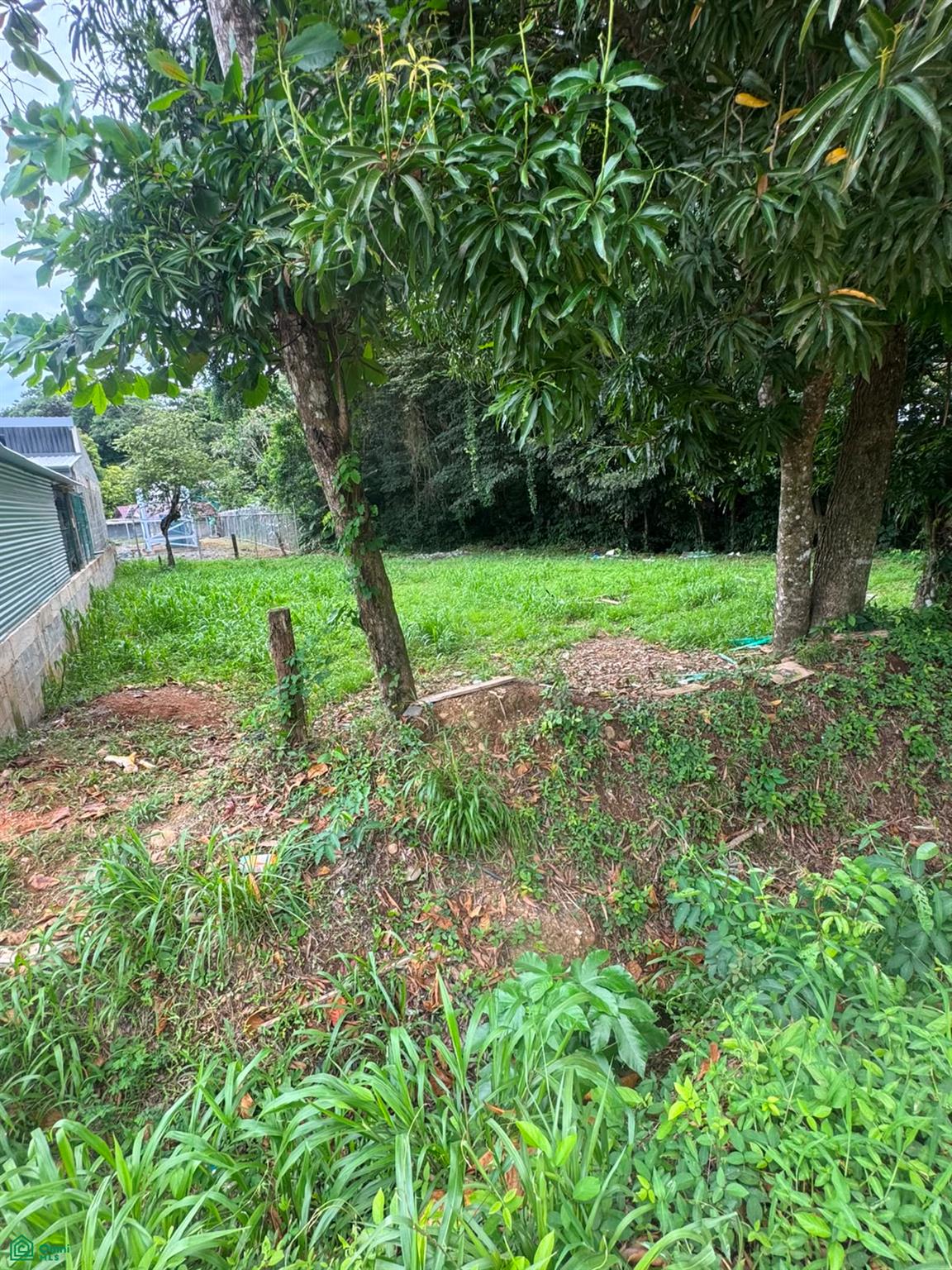  bed Land For Sale in Osa, Puntarenas - 1
