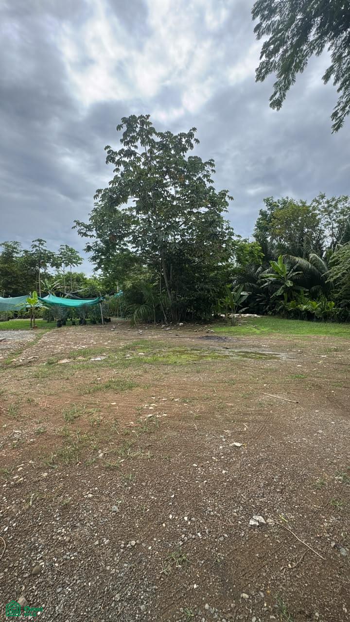  bed Land For Sale in Osa, Puntarenas - 1