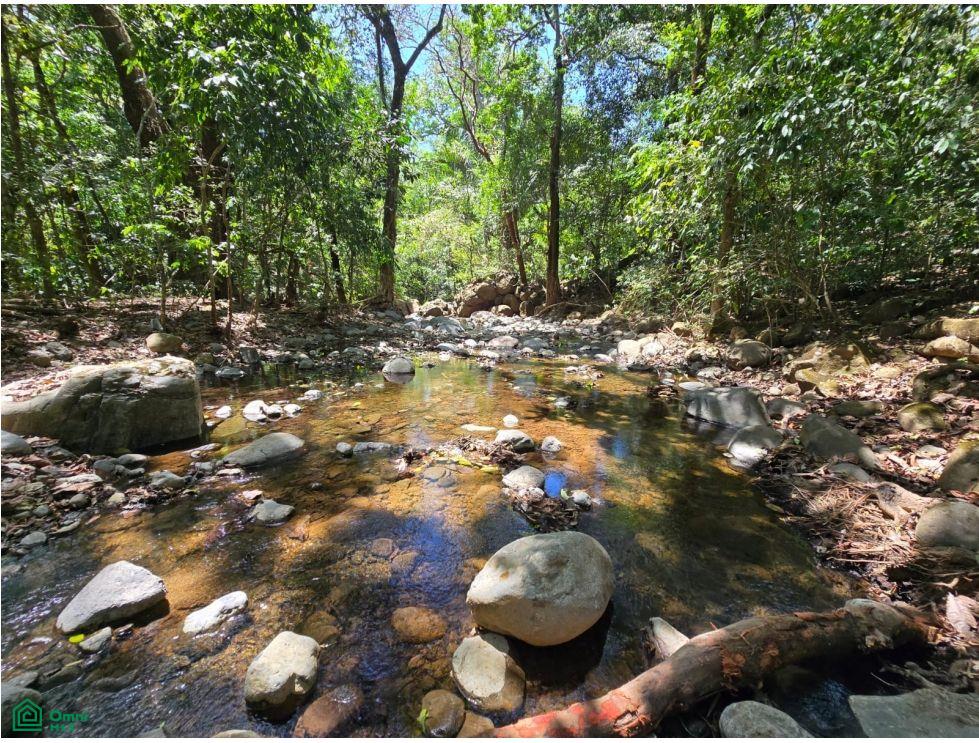  bed Land For Sale in San Pedro, San Jose - 1