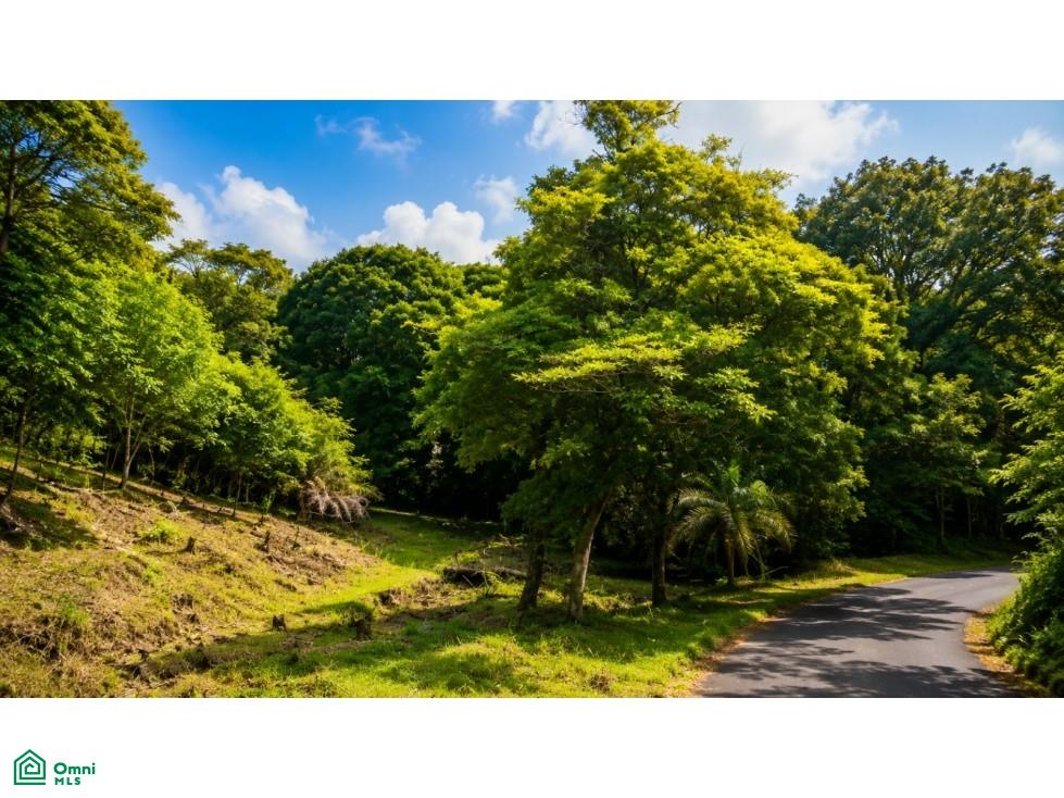  bed Land For Sale in , San Jose - 1