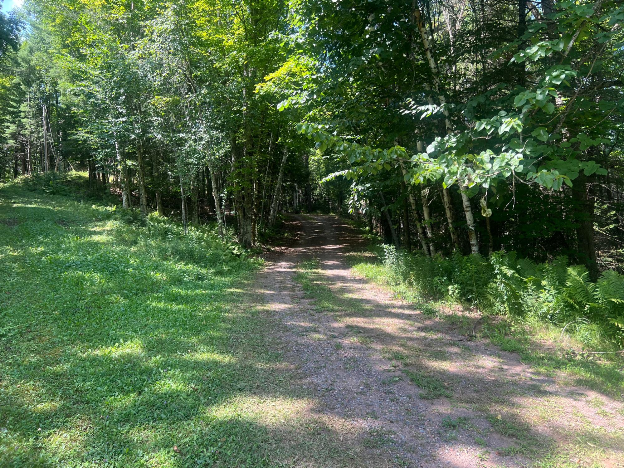 Horsehead Lake Property Lot A Cth B Photo 10