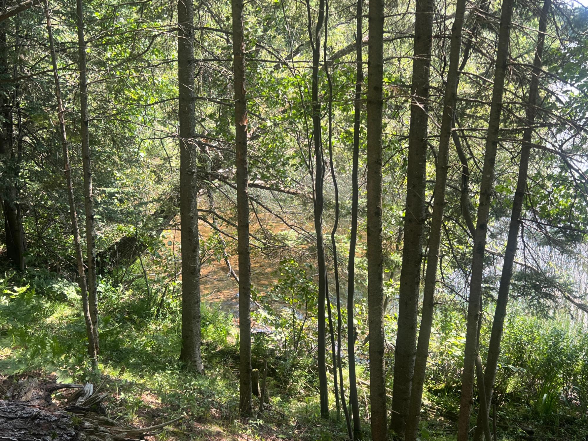 Horsehead Lake Property Lot B Cth B Photo 14