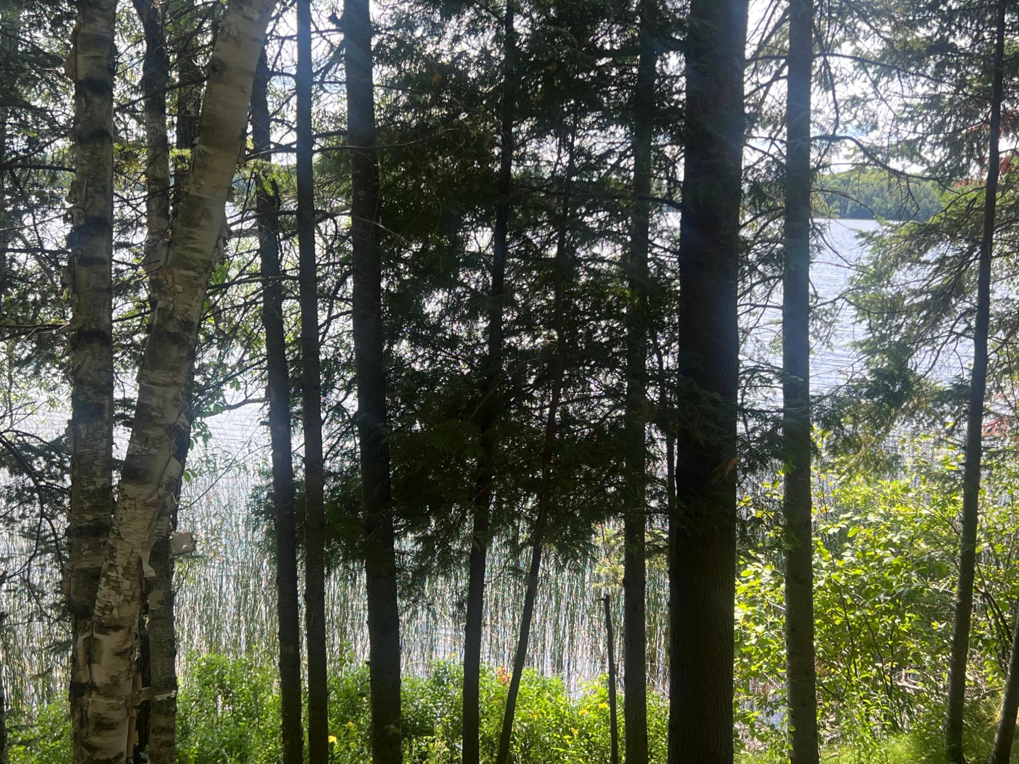 Horsehead Lake Property Lot B Cth B Photo 5