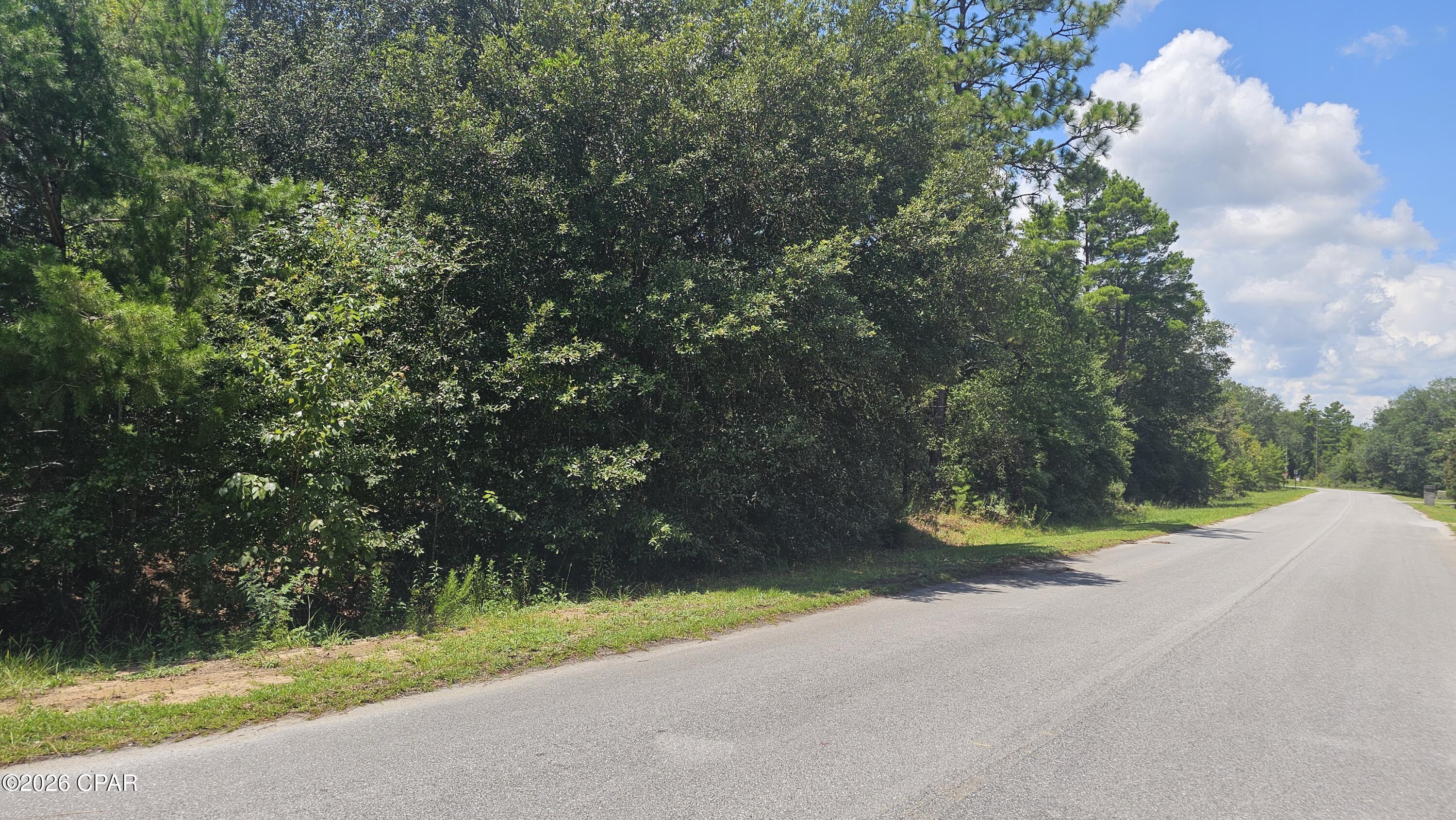 2nd image of 253 Acres Lucas Lake Rd, Chipley, FL 32428 | MLS# 793777