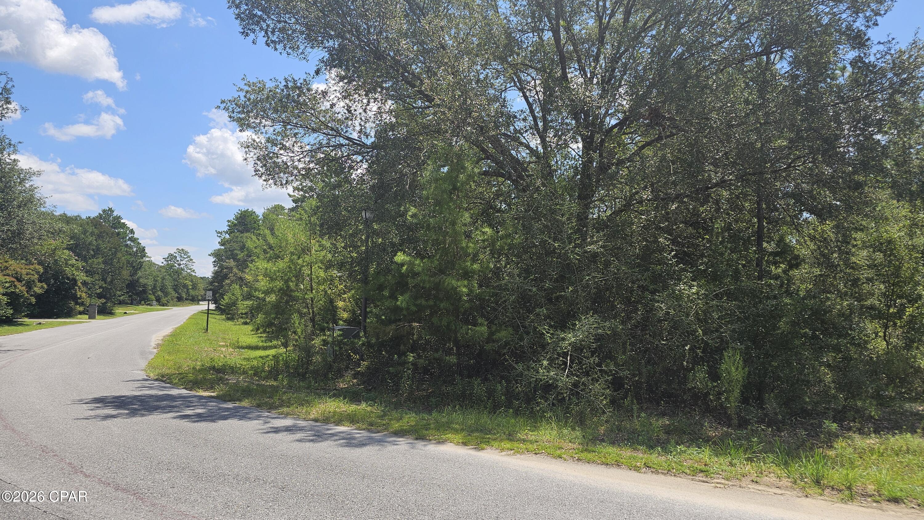 5th image of 253 Acres Lucas Lake Rd, Chipley, FL 32428 | MLS# 793777