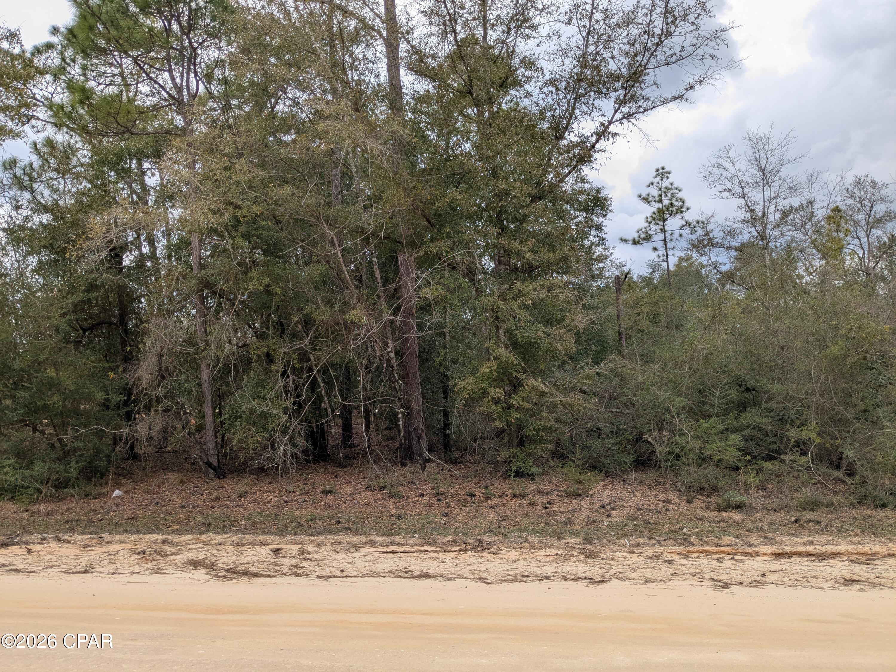 3rd image of 00 Pilgrim Rest Church Rd, Marianna, FL 32448 | MLS# 793792