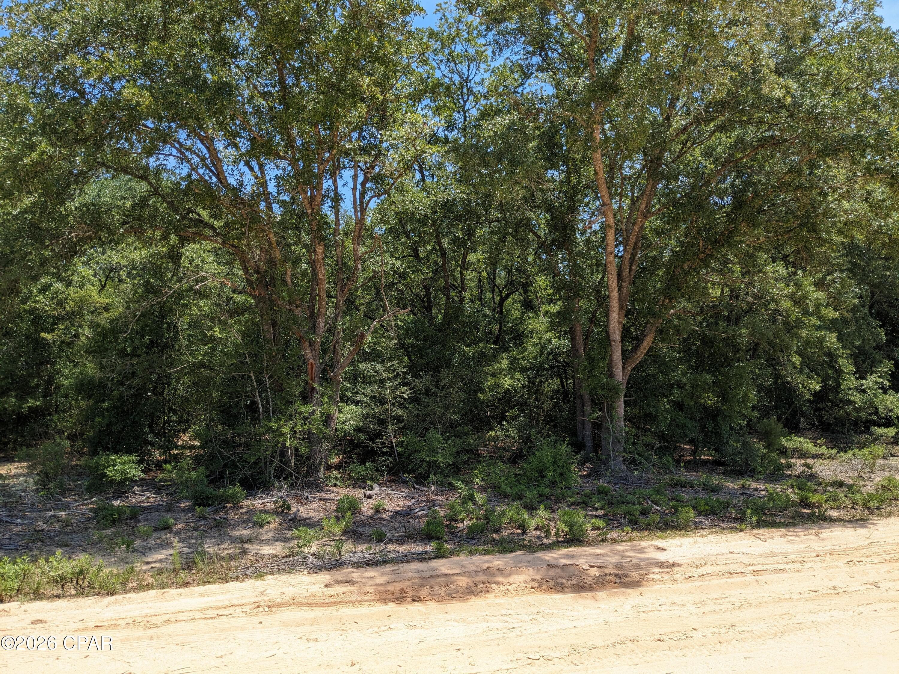 4th image of 00 Pilgrim Rest Church Rd, Marianna, FL 32448 | MLS# 793792