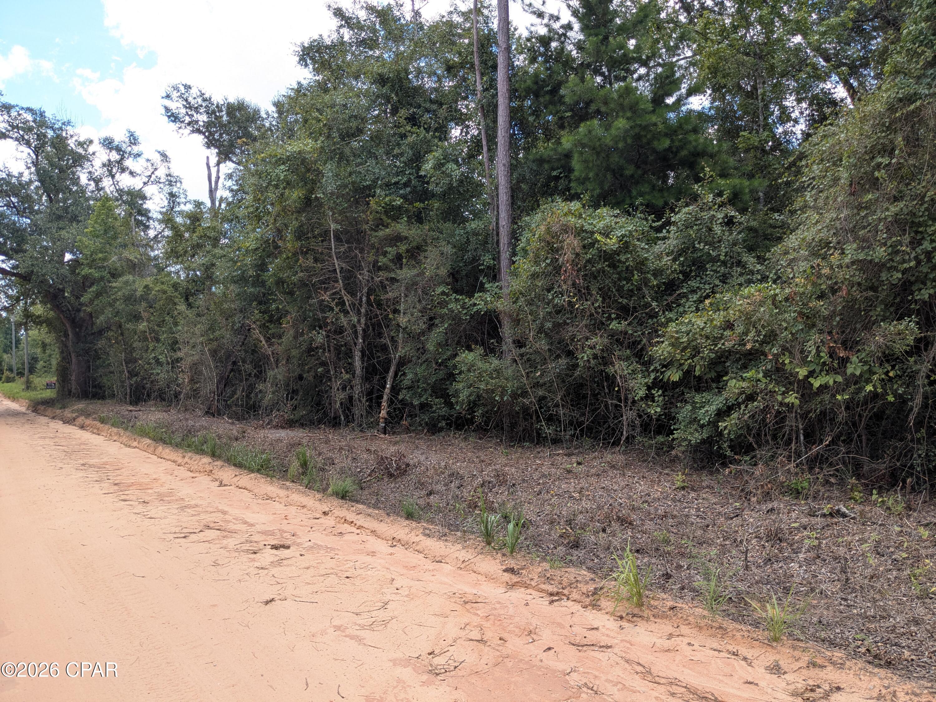 5th image of 00 Pilgrim Rest Church Rd, Marianna, FL 32448 | MLS# 793792
