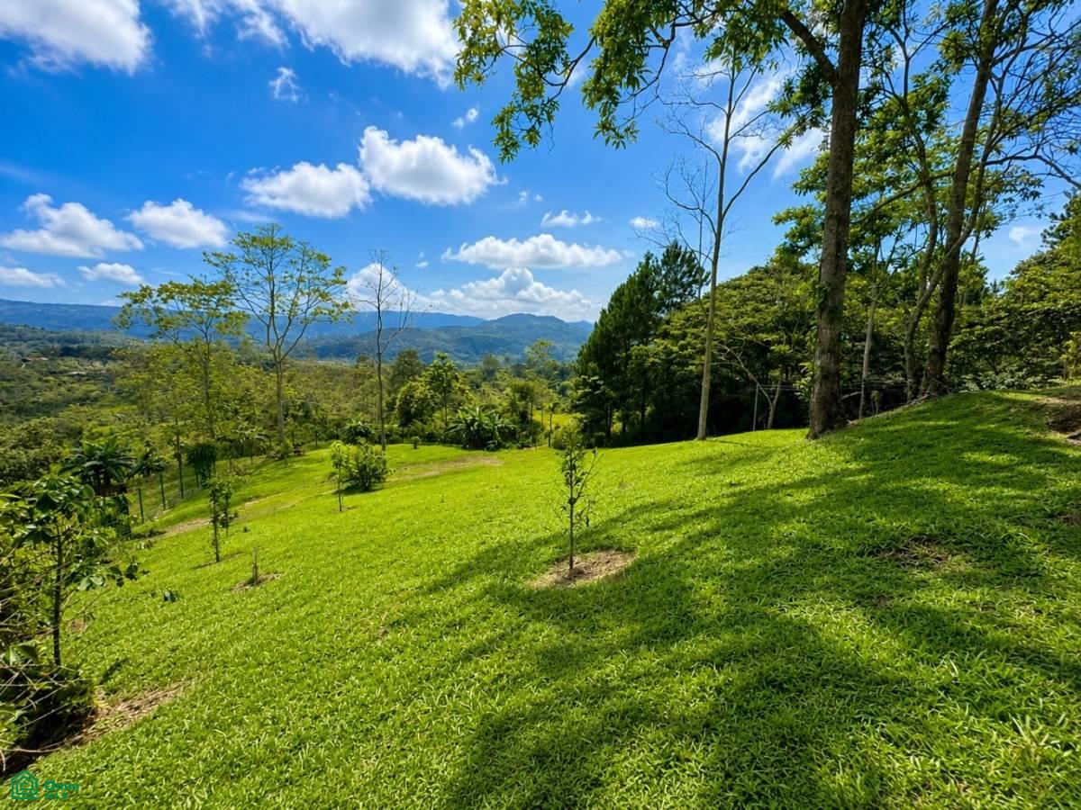 0 bed Land For Sale in Turrialba, Cartago - 1