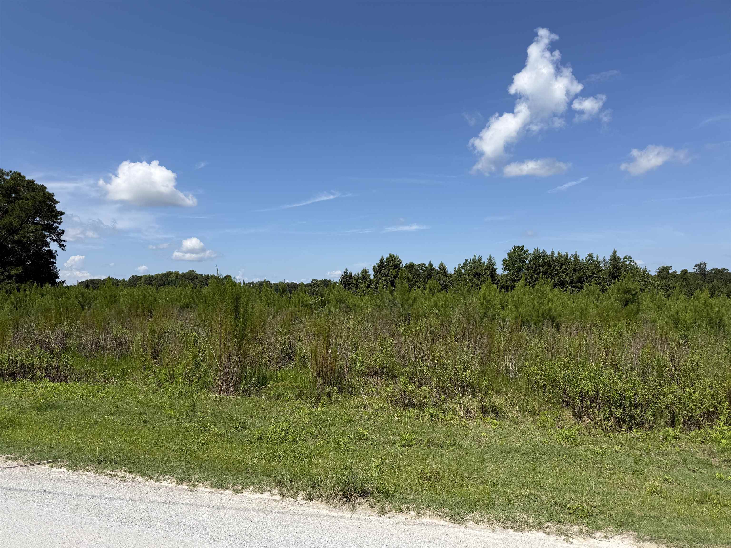 4th image of 183 Dove Rd, Loris, SC 29569 | MLS# 2619742