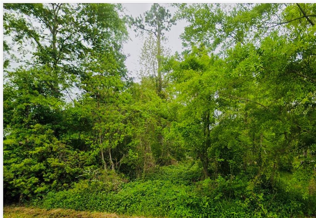 1st image of Lot 68 Magnolia Dr, Ponchatoula, LA 70454 | MLS# 2571777