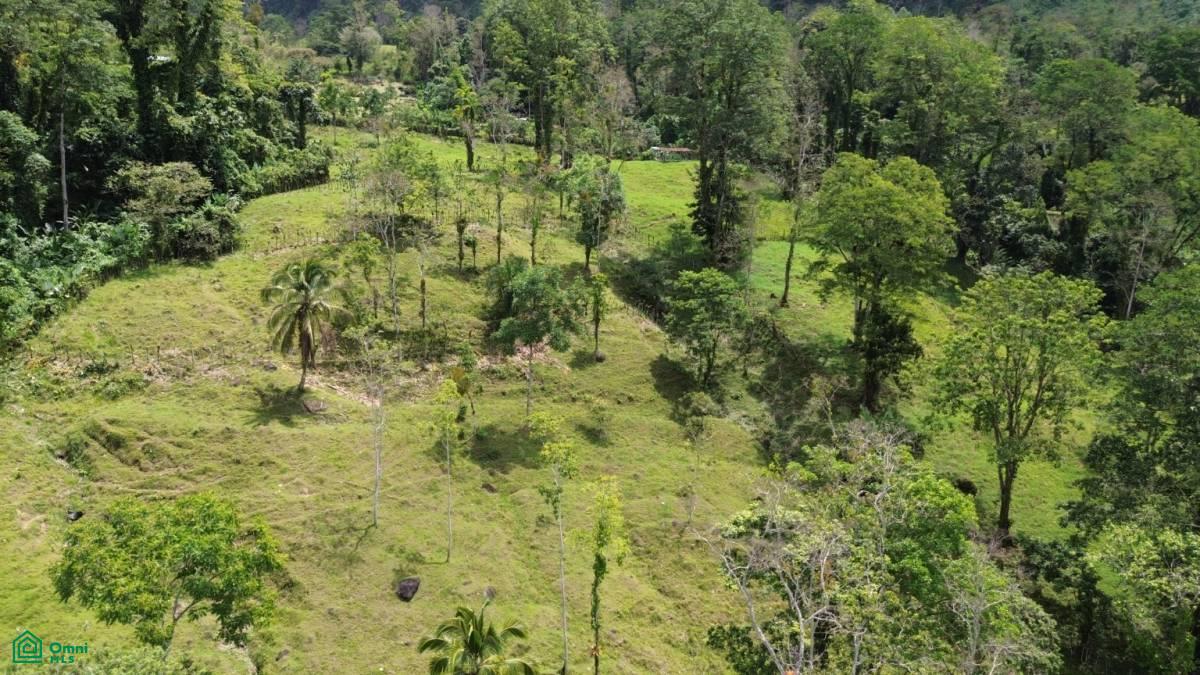 0 bed Land For Sale in Turrialba, Cartago - 1