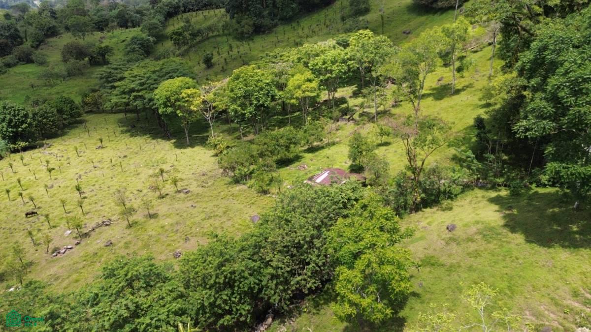 0 bed Land For Sale in Turrialba, Cartago - 1