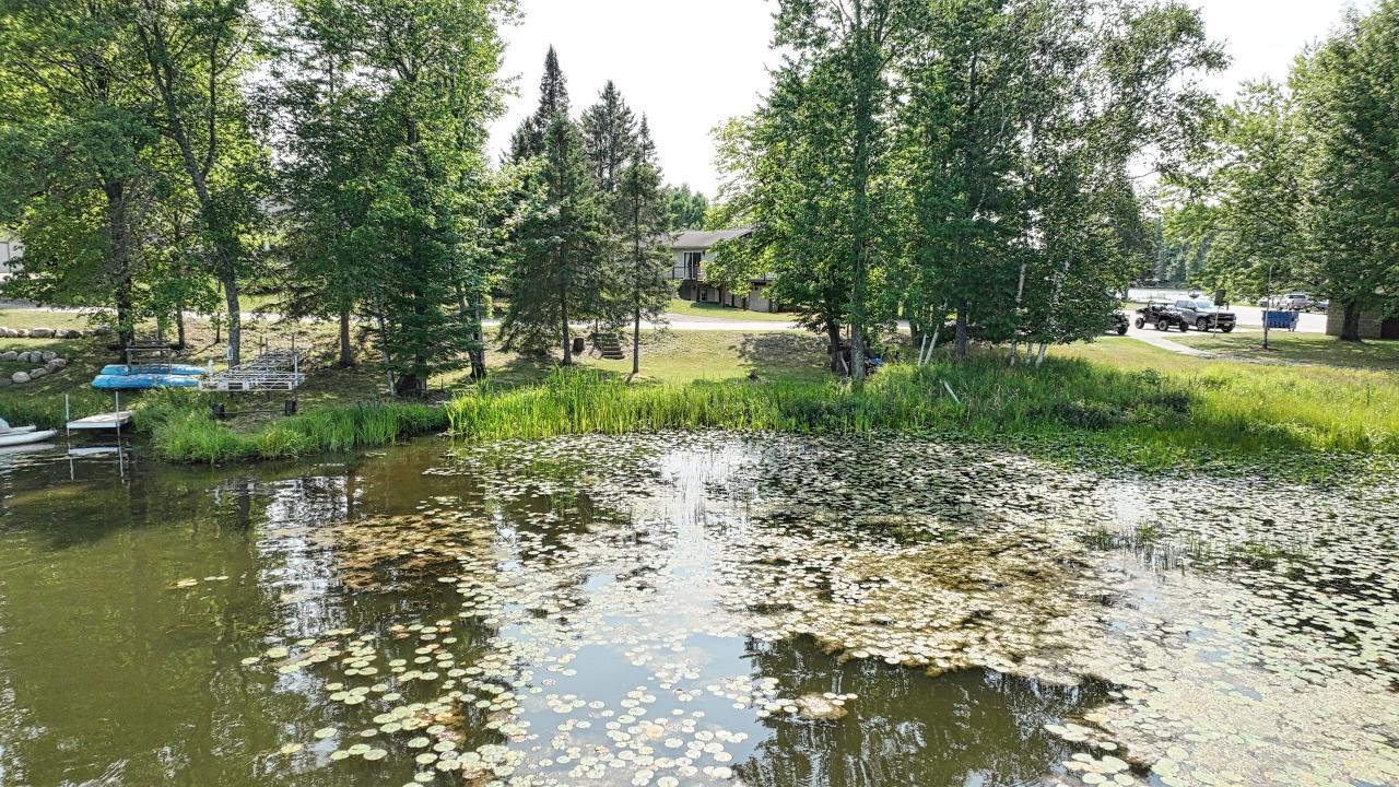 Yellow Birch Lake Property 650 Dyer Park St Photo 38
