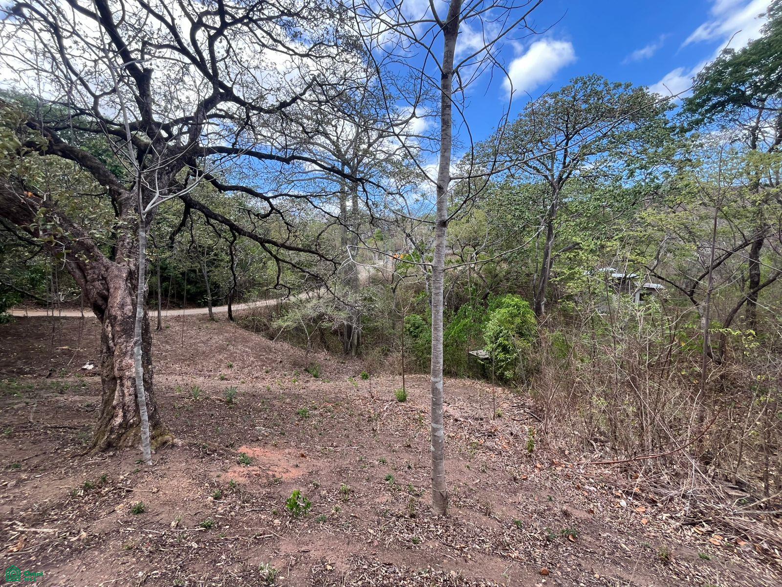  bed Land For Sale in Santa Cruz, Guanacaste - 1