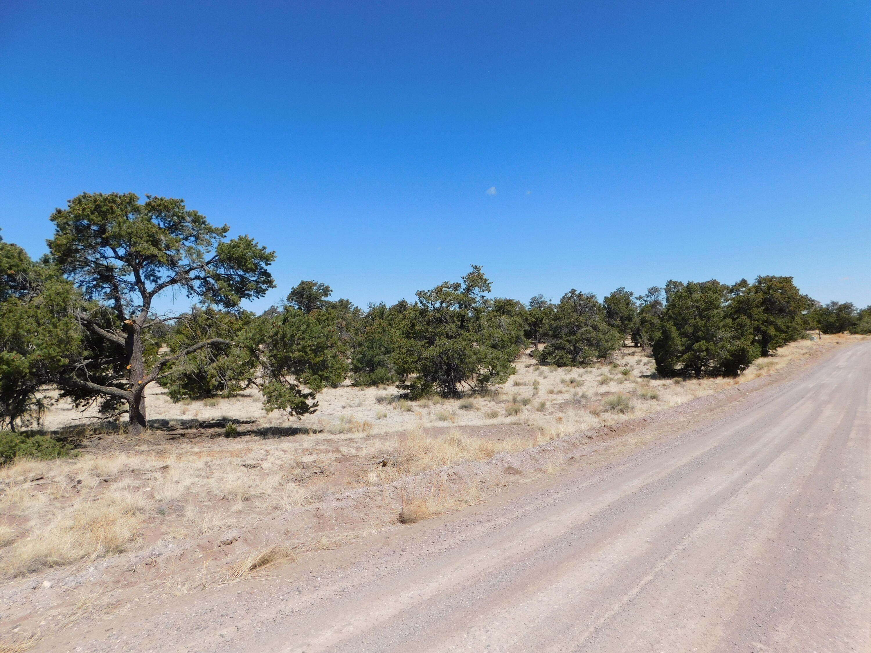 2nd image of 15 River Ln, Quemado, NM 87829 | MLS# 1108956