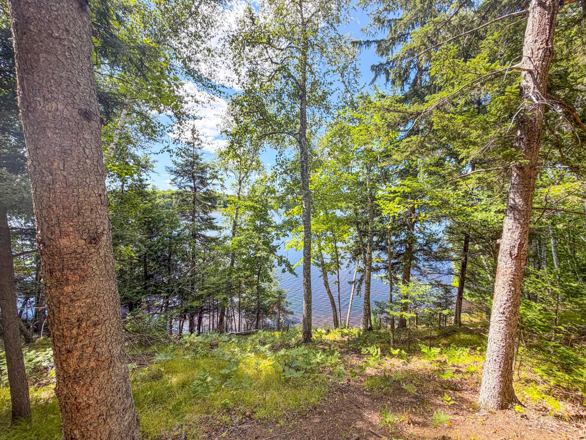 Butternut Lake MC Property N16553 Lakeshore Dr Photo 77