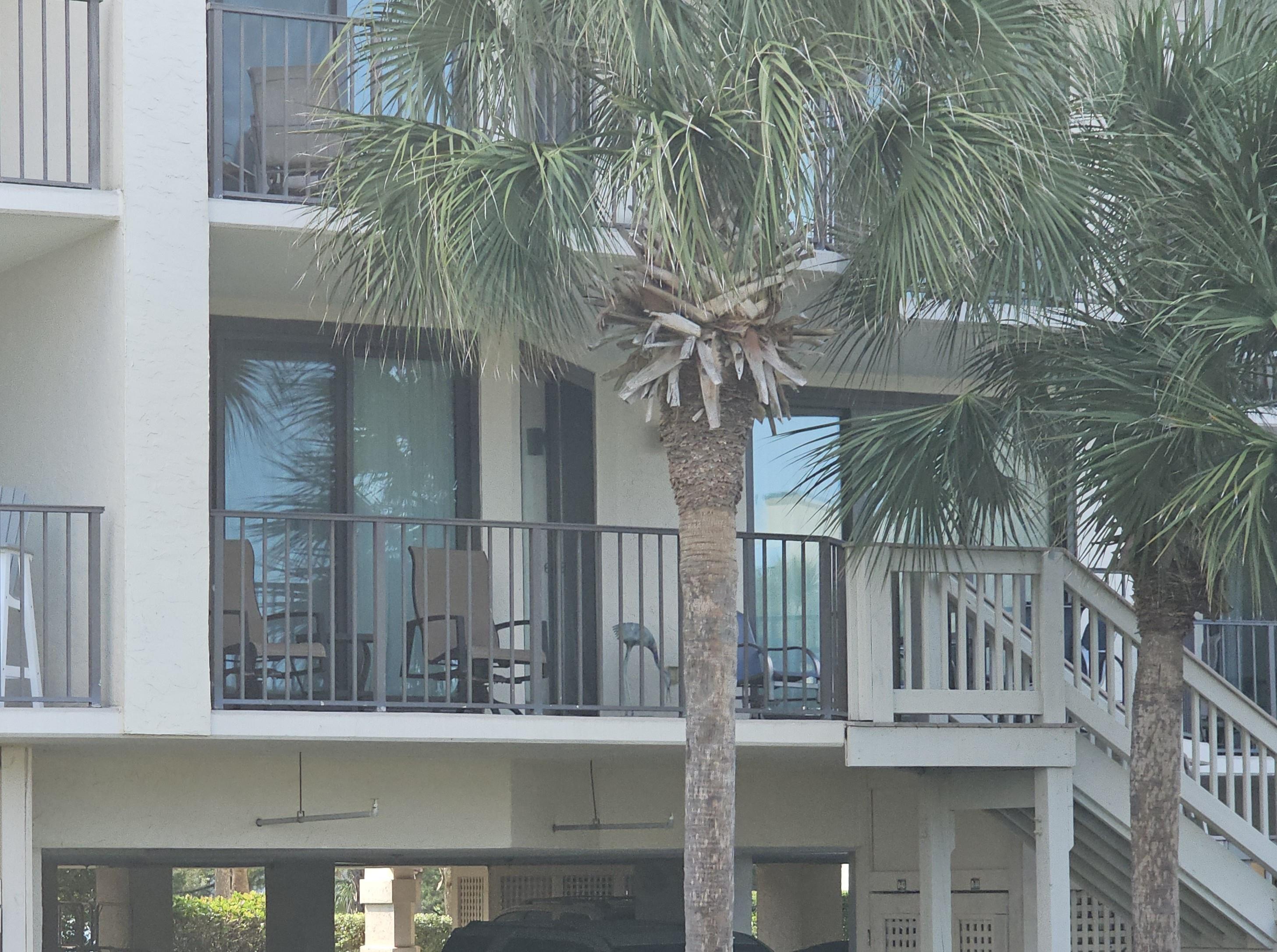 30th image of 371 S Dunes Dr, Pawleys Island, SC 29585 | MLS# 2619923
